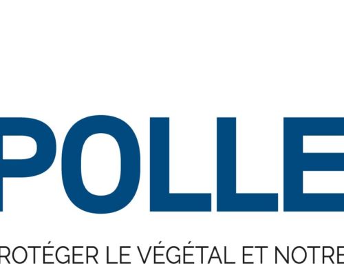 Polleniz